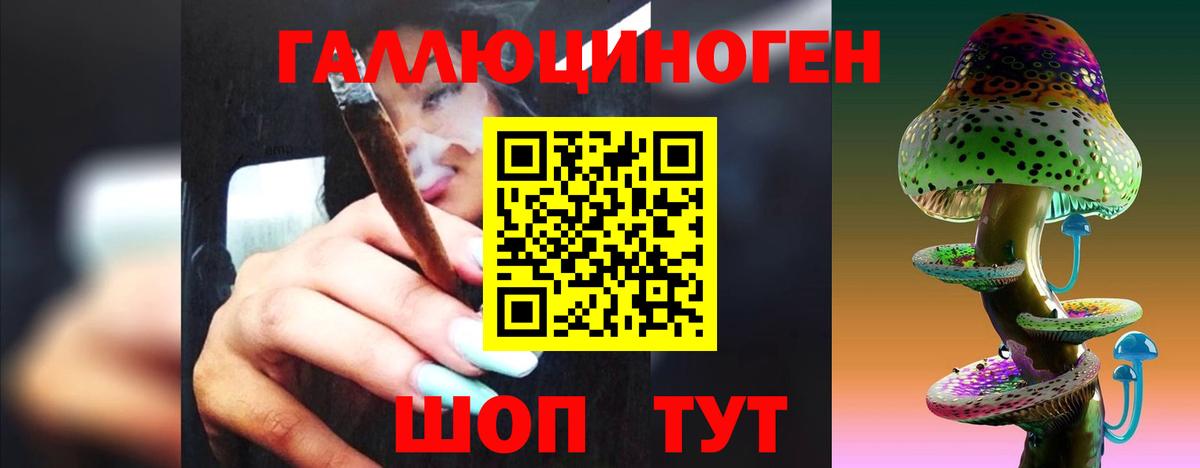 Псилоцибиновые грибы MAGIC MUSHROOMS  Вход с VPN  Псилоцибиновые грибы Psilocybine cubensis  Мичуринск 